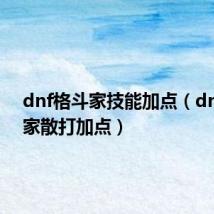 dnf格斗家技能加点(dnf格斗家散打加点)