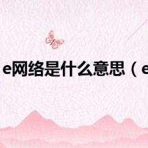 e网络是什么意思（e网）