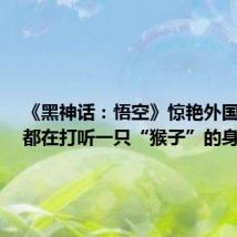 《黑神话:悟空》惊艳外国网友,都在打听一只“猴子”的身世