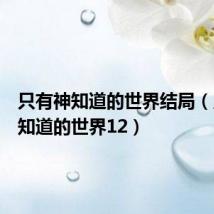 只有神知道的世界结局(只有神知道的世界12)