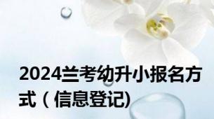 2024兰考幼升小报名方式（信息登记)