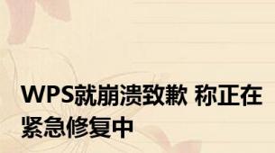 WPS就崩溃致歉 称正在紧急修复中