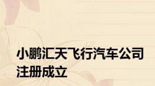 小鹏汇天飞行汽车公司注册成立