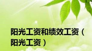 阳光工资和绩效工资（阳光工资）