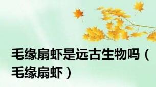 毛缘扇虾是远古生物吗（毛缘扇虾）