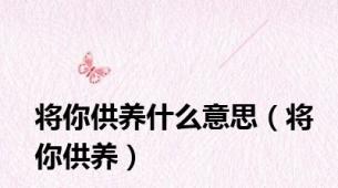 将你供养什么意思（将你供养）