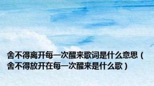 舍不得离开每一次醒来歌词是什么意思（舍不得放开在每一次醒来是什么歌）