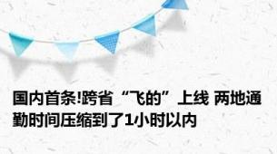 国内首条!跨省“飞的”上线 两地通勤时间压缩到了1小时以内