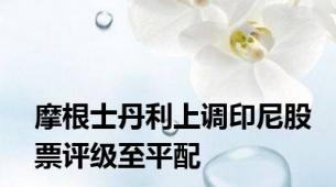 摩根士丹利上调印尼股票评级至平配