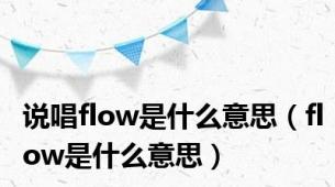 说唱flow是什么意思（flow是什么意思）
