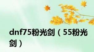 dnf75粉光剑（55粉光剑）