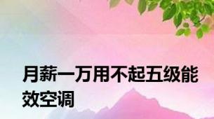 月薪一万用不起五级能效空调