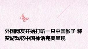 外国网友开始打听一只中国猴子 称赞游戏将中国神话完美呈现