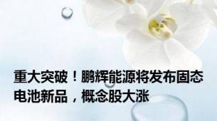 重大突破！鹏辉能源将发布固态电池新品，概念股大涨