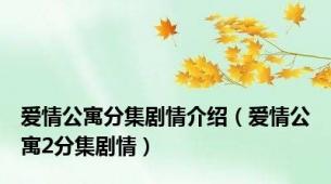 爱情公寓分集剧情介绍（爱情公寓2分集剧情）