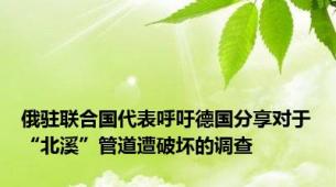 俄驻联合国代表呼吁德国分享对于“北溪”管道遭破坏的调查