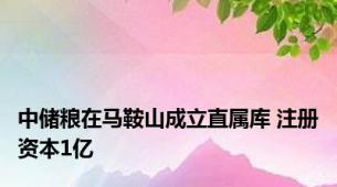 中储粮在马鞍山成立直属库 注册资本1亿