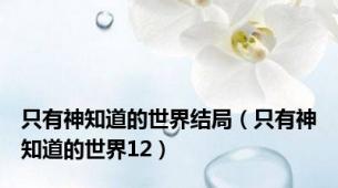 只有神知道的世界结局（只有神知道的世界12）