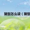 猪鬃怎么读（猪鬃）