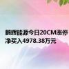 鹏辉能源今日20CM涨停 二机构净买入4978.38万元