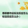 罪恶都市鼠标没反应怎么办（鼠标没反应怎么办）