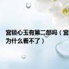 宫锁心玉有第二部吗（宫锁心玉为什么看不了）