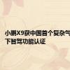 小鹏X9获中国首个复杂气象条件下智驾功能认证