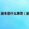 副本是什么意思（副本）