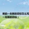 新的一年新的目标怎么写（新的一年新的目标）