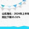 山东海化：2024年上半年净利润同比下降35.51%