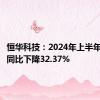 恒华科技：2024年上半年净利润同比下降32.37%