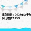 宝色股份：2024年上半年净利润同比增长2.73%