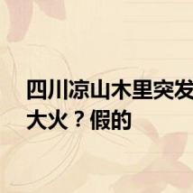 四川凉山木里突发森林大火？假的