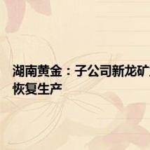 湖南黄金:子公司新龙矿业本部恢复生产