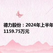 德力股份:2024年上半年净利润1159.75万元