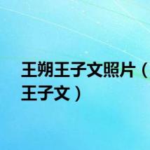 王朔王子文照片（王朔王子文）
