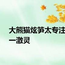 大熊猫炫笋太专注被吓一激灵