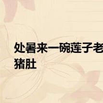 处暑来一碗莲子老鸭炖猪肚