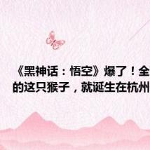 《黑神话:悟空》爆了!全球关注的这只猴子,就诞生在杭州!