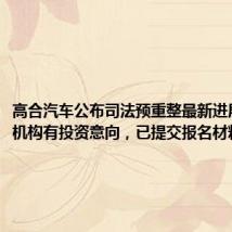 高合汽车公布司法预重整最新进展：两家机构有投资意向，已提交报名材料