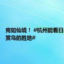 宛如仙境! #杭州能看日出还能赏鸟的胜地#