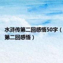 水浒传第二回感悟50字(水浒传第二回感悟)