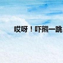 哎呀！吓熊一跳