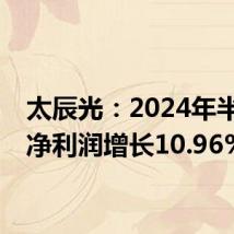 太辰光:2024年半年度净利润增长10.96%
