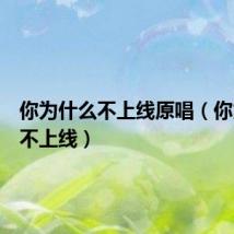 你为什么不上线原唱（你为什么不上线）