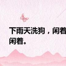 下雨天洗狗，闲着也是闲着。