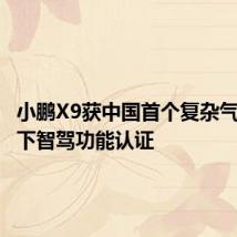 小鹏X9获中国首个复杂气象条件下智驾功能认证