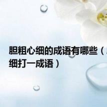 胆粗心细的成语有哪些(胆粗心细打一成语)