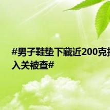#男子鞋垫下藏近200克拉钻石入关被查#
