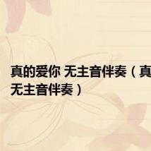 真的爱你 无主音伴奏（真的爱你无主音伴奏）